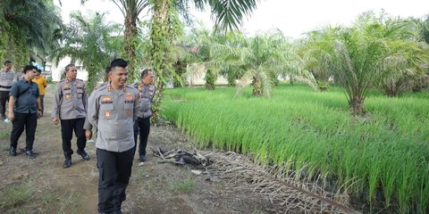 Kantor Polisi di Riau Diubah Jadi Sawah Demi Ketahanan Pangan Cita-Cita Prabowo