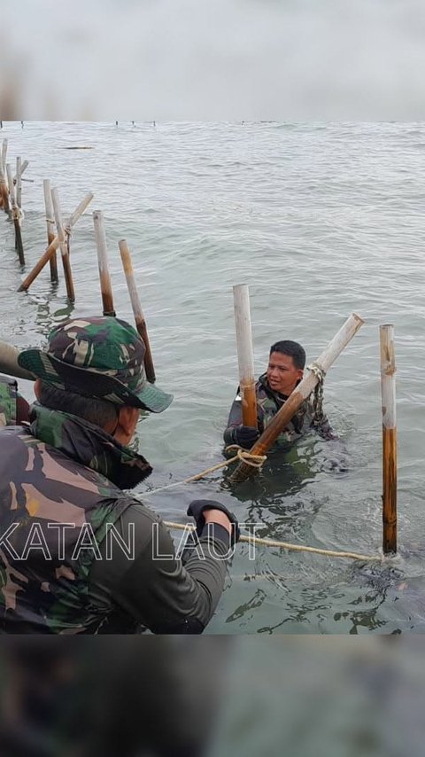 Usut Kasus Pagar Laut di Tangerang, Polisi Pastikan Tidak Tumpang Tindih dengan KPK dan Kejagung