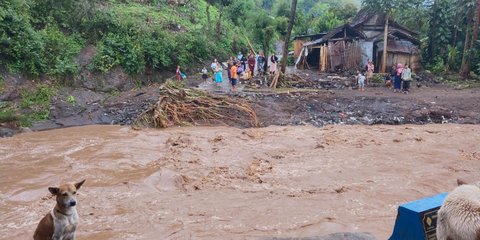 Mengapa Kabupaten Situbondo Dilanda Banjir? Ternyata ini Penyebabnya