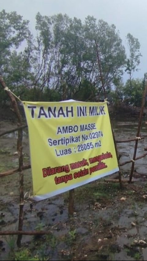 Duduk Perkara Kasus Penerbitan SHM Lahan Mangrove di Kuri Lompo Maros, Sudah Ada yang Jadi tersangka