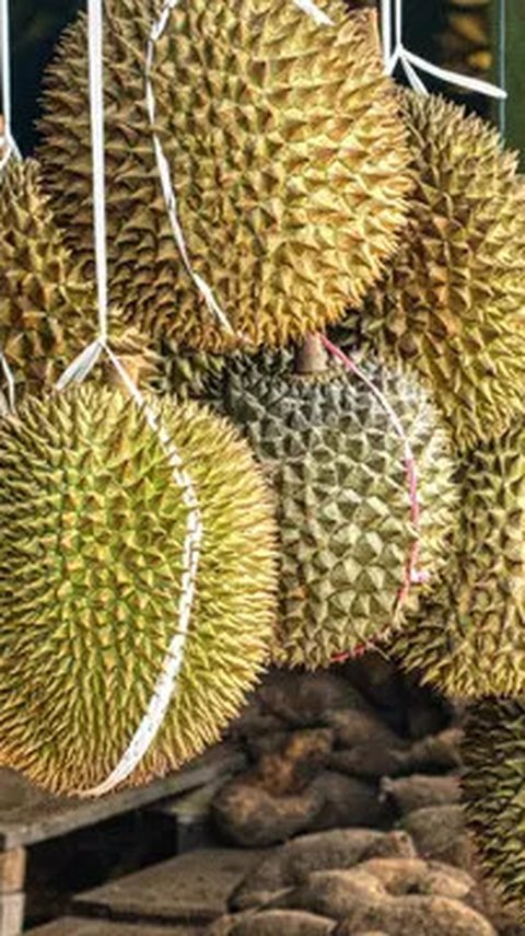 Indonesia Ketiban Untung Setelah 100 Kontainer Durian Asal Thailand Dilarang Masuk ke China