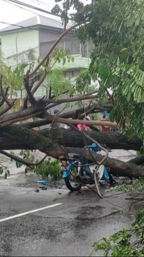 Sejumlah Wilayah di Indonesia Masih Dilanda Cuaca Ekstrem, Kapan Musim Kemarau Tiba?