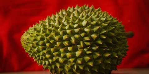 Apakah Darah Tinggi Boleh Makan Durian? Berikut Penjelasan Lengkap serta Fakta dan Mitosnya