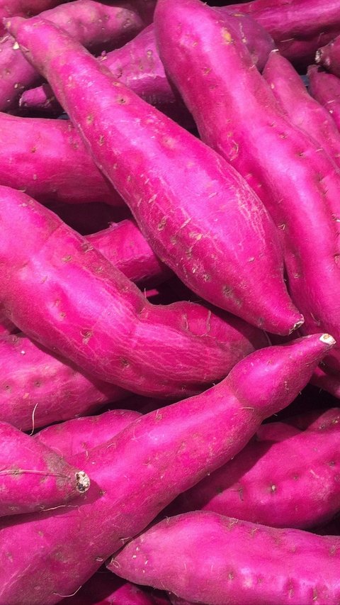 Resep Olahan Ubi Ungu yang Penuh Gizi untuk Anak dan Dewasa, Cocok untuk Camilan Sore