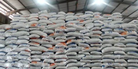 Wamentan soal Beras di Gudang Bulog Berkutu: Tak Sampai Ratusan Ribu Ton