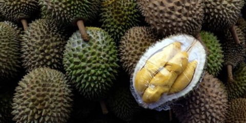Amankah Durian untuk Penderita Darah Tinggi? Kenali Manfaat & Cara Konsumsinya yang Aman