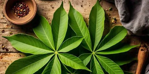 Apakah Daun Singkong Menyebabkan Asam Urat? Ini Faktanya yang Harus Dipahami