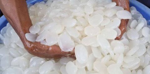 Cara Konsumsi Kolang-Kaling untuk Memaksimalkan Manfaat Sehatnya