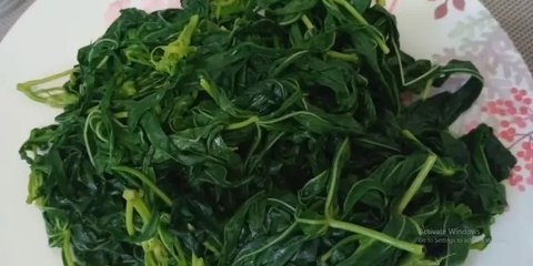 Cara Merebus Daun Singkong Selama 7 Menit agar Cepat Empuk dan Tetap Berwarna Hijau