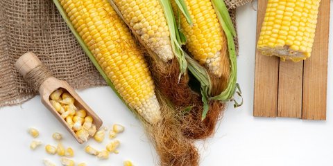 Benarkah Jagung Bisa Membantu Menurunkan Kadar Asam Urat? Kenali Manfaat Tersembunyinya