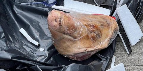 Kronologi Jurnalis Tempo Diteror Kiriman Kepala Babi