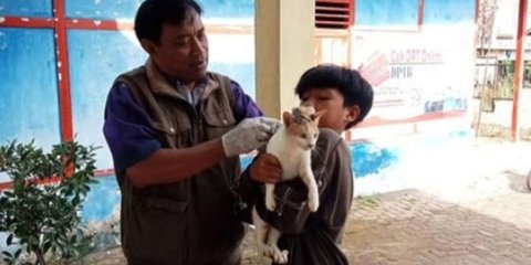 Kemenkes: 25 Orang Meninggal karena Rabies dalam 3 Bulan
