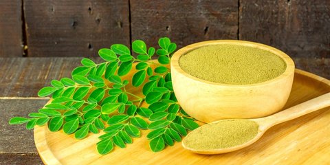 Manfaat Daun Kelor untuk Asam Urat, Solusi Herbal yang Terbukti Efektif