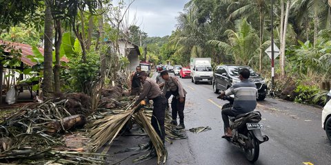 Kronologi Mobil Angkut Turis Swiss Tertimpa Pohon, Korban Luka-luka dan Patah Lutut