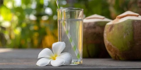 Manfaat Air Kelapa dalam Meredakan Asam Urat, Cocok Jadi Sajian Segar di Hari Lebaran
