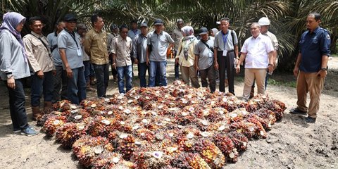 Pengusaha Sawit Minta Pemerintah Utamakan Ekspor ketimbang Program Biodiesel
