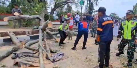 Korban Pohon Tumbang di Alun-Alun Pemalang Bertambah jadi 3 Orang
