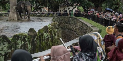 Libur Panjang Paskah, Ragunan Dipadati 19.435 Pengunjung