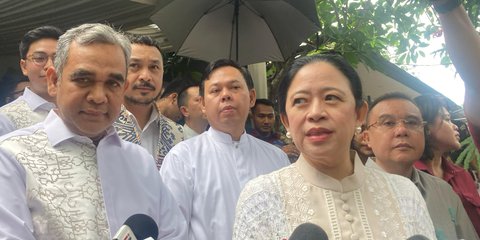 Puan Sebut Megawati Hampir Video Call Prabowo, Akhirnya Hanya Titip Salam dan Doa