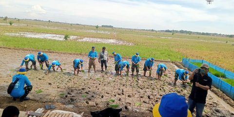 Tingkatkan Produksi Beras, Menteri PU Dorong Kolaborasi Lintas Sektor Terapkan Teknologi IPHA
