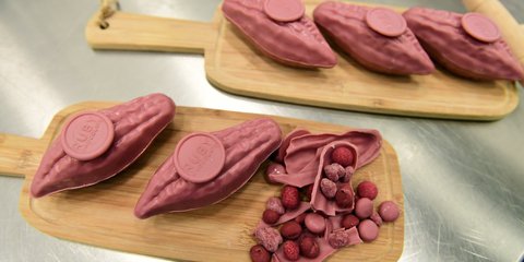 Cokelat Ruby, Varian Premium dengan Warna Alami dan Rasa Segar yang Mendunia