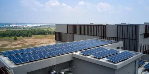 Hari Bumi 2025, Telkom Pertegas Komitmen Energi Terbarukan Menuju Masa Depan Berkelanjutan