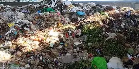Bahaya Membakar Sampah, Ancaman Serius bagi Kesehatan Manusia yang Sering Tak Disadari