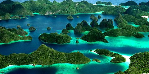 Rincian Biaya Liburan ke Raja Ampat dari Jakarta, Siapkan Budget Segini