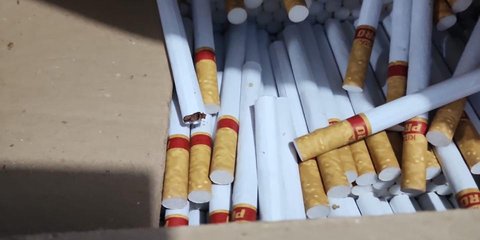 Peredaran Rokok Ilegal Makin Mengkawatirkan