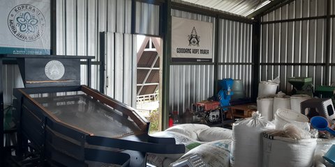 Perjalanan Goodang Kopi Muria, Berawal dari Wasiat kini Tumbuh Pesat Bersama BRI dan Para Petani