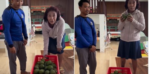 Tak Lagi Menjabat Menteri, Eks Srikandi Jokowi Kini jadi 'Petani' Baru Panen Alpukat dan Melon