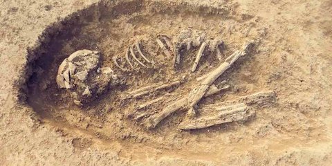 Ilmuwan Keliru, Fosil yang Dikira Manusia Tertua di Jepang Ternyata Bukan Manusia