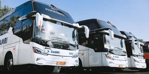 Damri Angkut 70 Ribu Pemudik Arus Balik Lebaran 2025, Rute Jakarta–Bandarlampung Paling Ramai