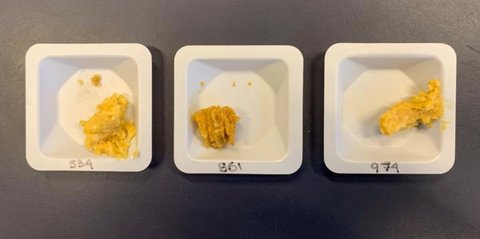 Astronot Eksperimen Bikin Miso di Luar Angkasa, Begini Rasanya?