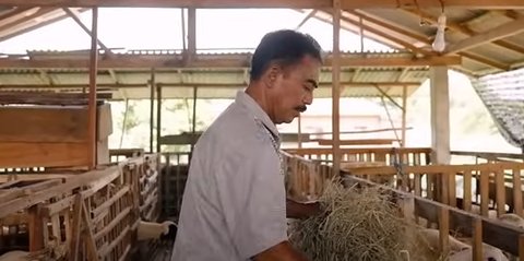 Guru Ngaji ini Kini Sukses Ternak Domba, Awalnya Hanya Punya 3 Ekor