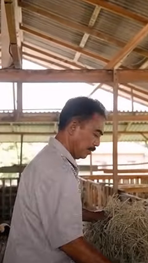 Guru Ngaji ini Kini Sukses Ternak Domba, Awalnya Hanya Punya 3 Ekor