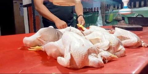 Cara Efektif Merebus Ayam Potong Bebas Kolesterol Agar Lemaknya Berkurang