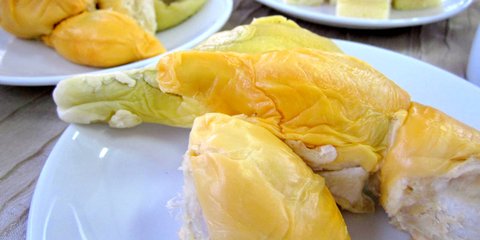 Cara Aman Mengonsumsi Durian untuk Menjaga Kolesterol, Harus Dicoba