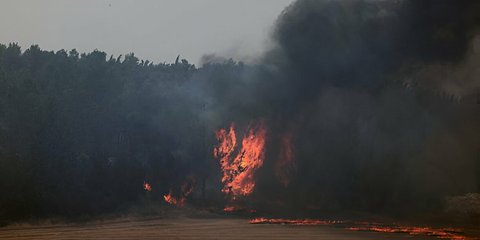 Dua Negara Ini Tolak Kirim Pesawat Pemadam Api ke Israel