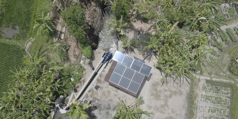 Pertamina Kembangkan Energi Transisi, Dorong Kesejahteraan 408 Petani di Desa Uma Palak