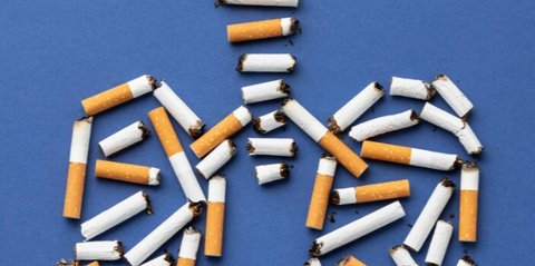 Asap Ganja vs. Rokok: Mana yang Lebih Berbahaya untuk Paru-Paru?