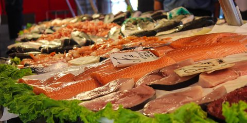 Mengenal 14 Ikan Bernutrisi Tinggi yang Wajib Anda Konsumsi untuk Menjaga Kesehatan Otak dan Jantung