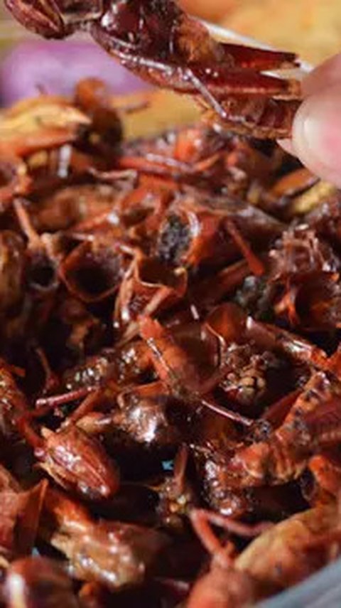 Daftar Makanan Ekstrem Berbahan Serangga di Indonesia, Berani Coba?
