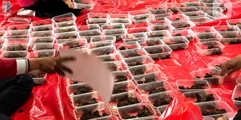 Kadin Bangun Dapur Umum MBG, Target 1.000 Titik di Seluruh Indonesia