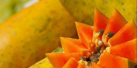 10 Alasan Ilmiah Mengapa Makan Pepaya Saat Perut Kosong Baik untuk Detoks, Pencernaan, hingga Kesehatan Kulit
