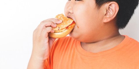 Waspada Bahaya Obesitas Anak! Selain Gula, Ini Aktivitas yang Bisa Jadi Pemicu Utama