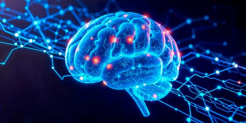 Lawan Brain Fog dengan Gerakan: Studi Ungkap 5 Menit Aktivitas Fisik per Hari Bisa Tajamkan Otak