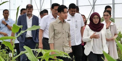 VIDEO: Momen Gibran Blusukan Ditemani Bobby & Kahiyang, Ketua DEN Luhut Pandjaitan Ikut Turun