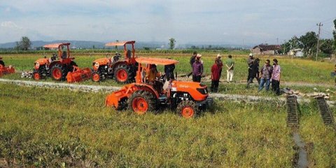 Tanda-Tanda Indonesia Semakin Dekat Swasembada Pangan