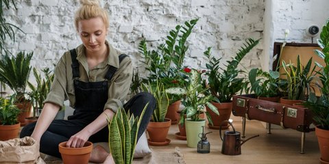 Berkebun, Obat Alami untuk Pikiran yang Lelah